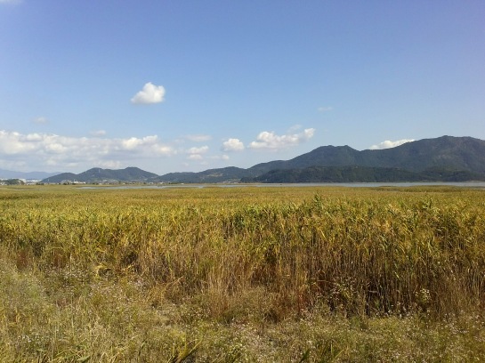 A view of Suncheonman Bay, as view from the berm in Anpung-dong.